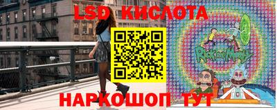 стаф Гагарин