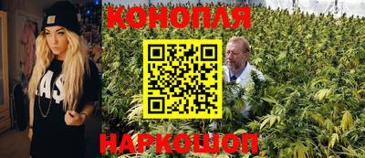 стаф Гагарин