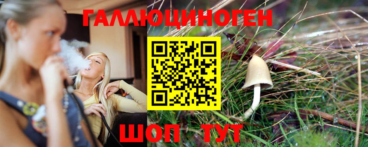 Шелехов  Псилоцибиновые грибы прущие грибы  Вход с VPN 